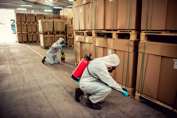 Reliable Bonanza, GA Pest Control Solutions