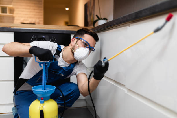 Best Flea Control Services  in Bonanza, GA