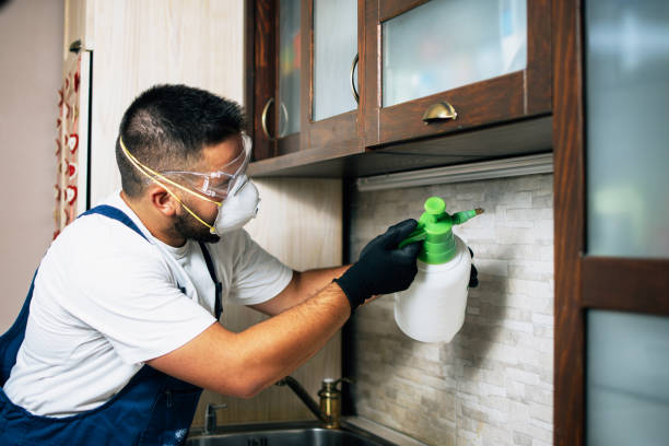 Best Affordable Pest Control Services  in Bonanza, GA