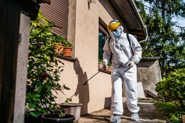 Best Emergency Pest Control  in Bonanza, GA