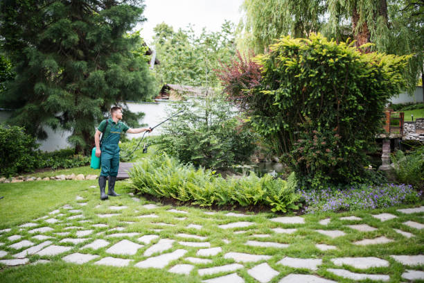 Best Local Pest Control Services  in Bonanza, GA