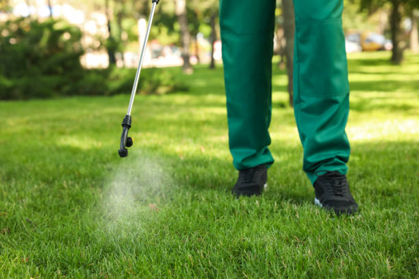 Best Termite Control Services  in Bonanza, GA