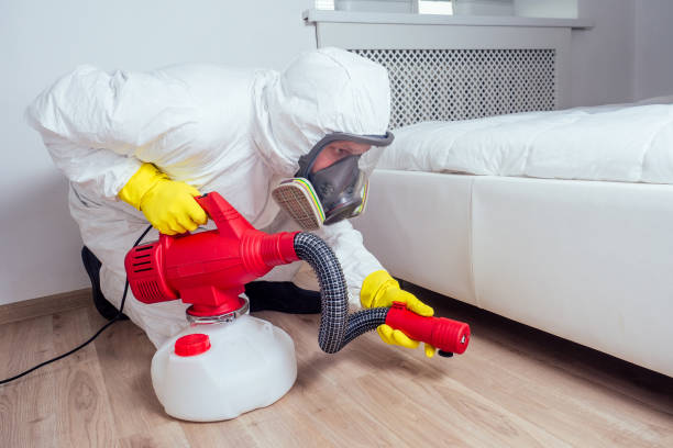 Best Flea Control Services  in Bonanza, GA
