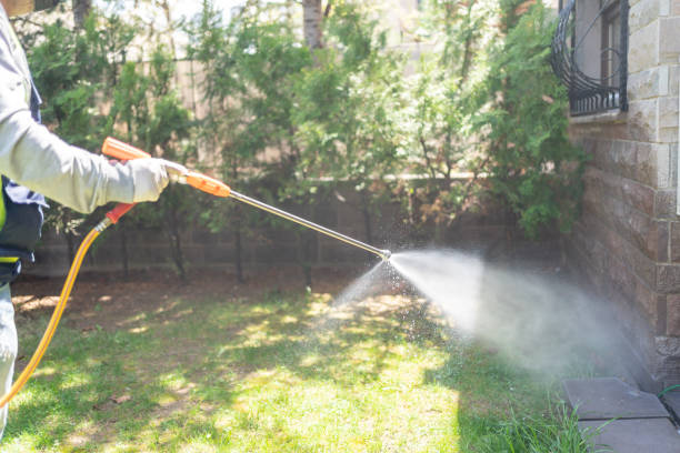 Best Emergency Pest Control  in Bonanza, GA