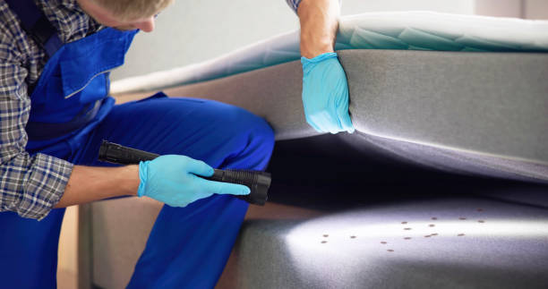 Best Exterminator Services  in Bonanza, GA