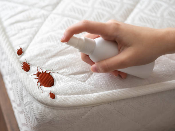 Best Wildlife Control Services  in Bonanza, GA