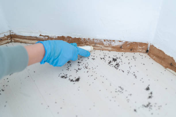 Best Mosquito Control Services  in Bonanza, GA