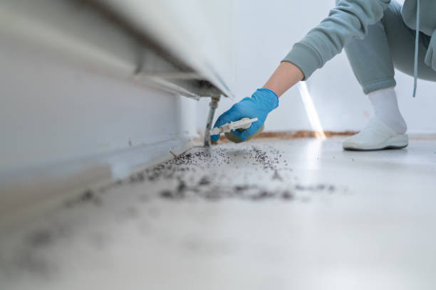 Best Mosquito Control Services  in Bonanza, GA